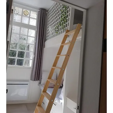 Apartment Au Coeur Du Vieux Tours Avec Jardin Tours