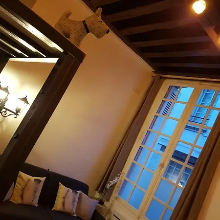 Apartment Au Coeur Du Vieux Tours Avec Jardin
