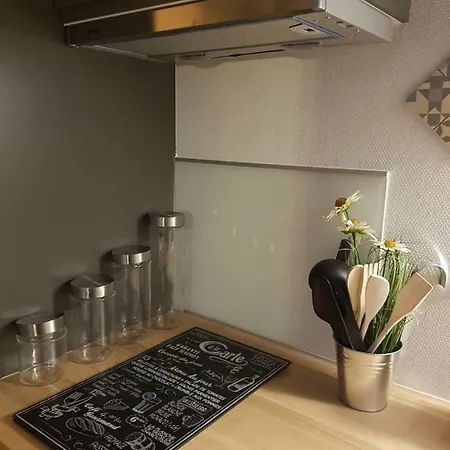 Apartment Au Coeur Du Vieux Tours Avec Jardin Tours
