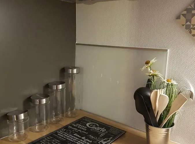 Appartamento De Charme Au Cœur De Avec Extérieur Tours